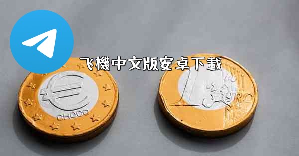 飞機中文版安卓下載