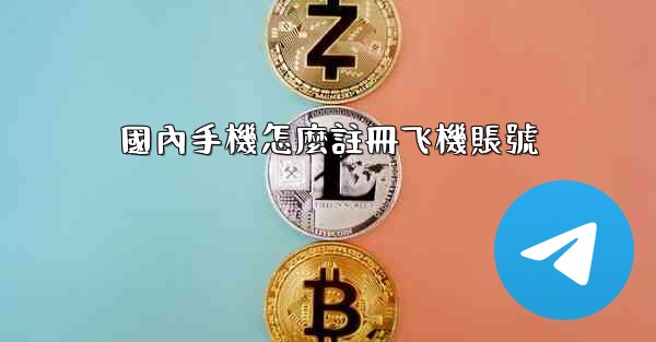 國內手機怎麼註冊飞機賬號