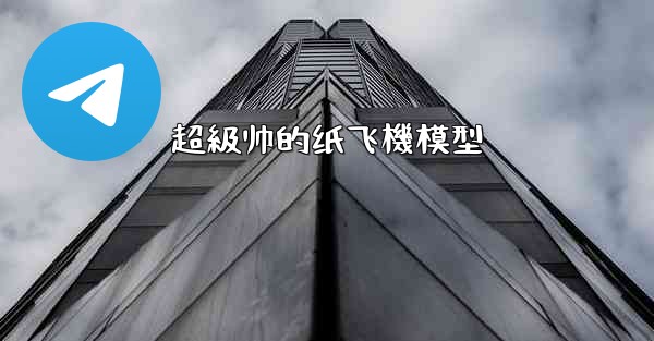 超級帅的纸飞機模型