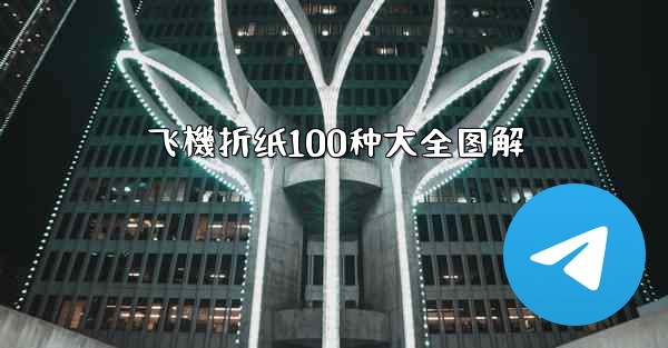 飞機折纸100种大全图解