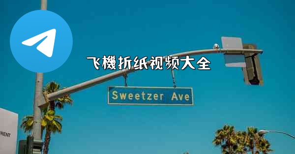 飞機折纸视频大全