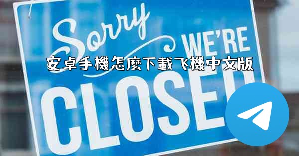 安卓手機怎麼下載飞機中文版