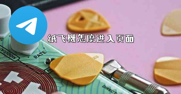纸飞機怎麼进入页面