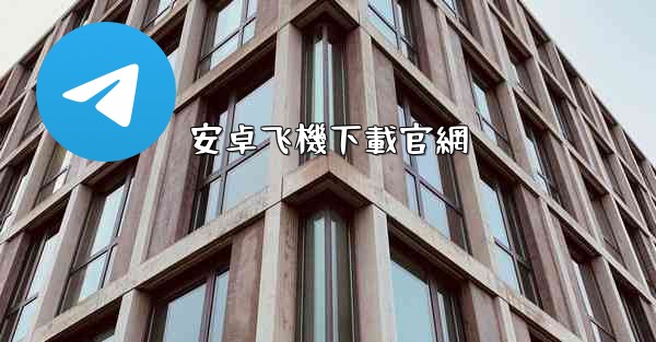 安卓飞機下載官網