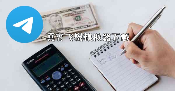 真實飞機模拟器下載