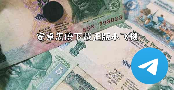 安卓怎麼下載正版小飞機