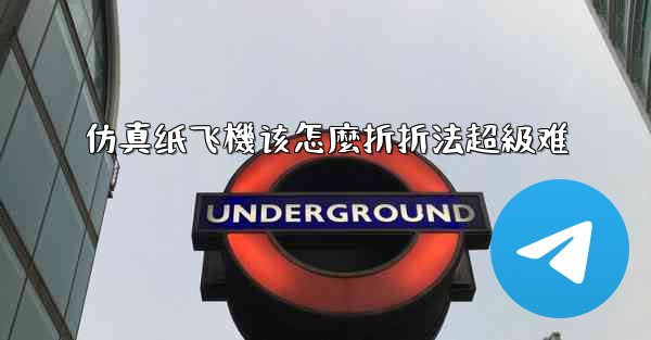 <b>仿真纸飞機该怎麼折折法超級难</b>