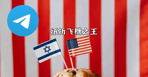 <b>纸折飞機之王</b>