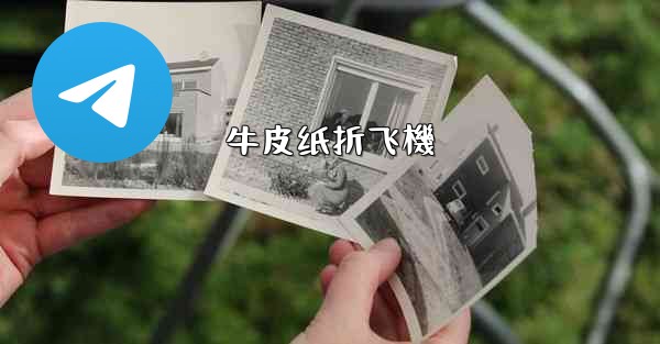 牛皮纸折飞機