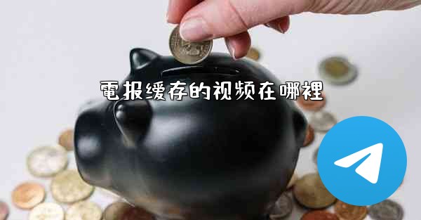 電报缓存的视频在哪裡