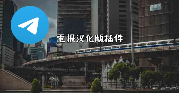 電报汉化版插件