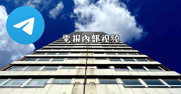 電报內部视频