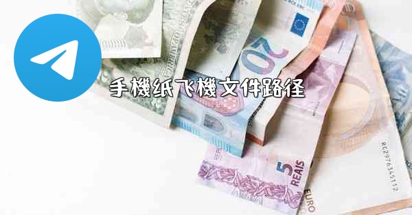 手機纸飞機文件路径