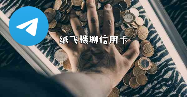 纸飞機聊信用卡