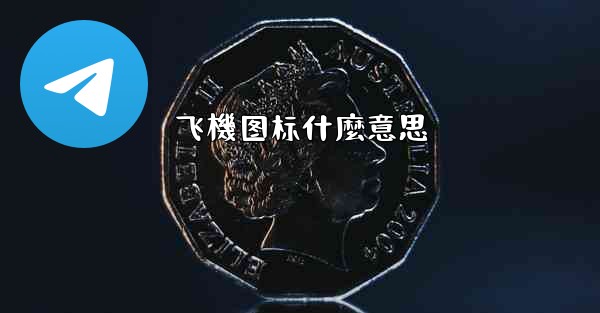 飞機图标什麼意思