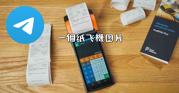 一個纸飞機图片