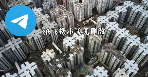 纸飞機小說无刪改