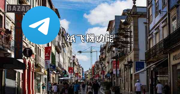 <b>纸飞機功能</b>