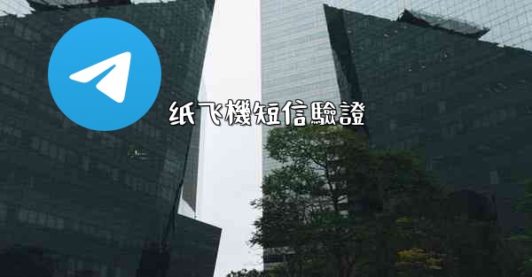纸飞機短信驗證