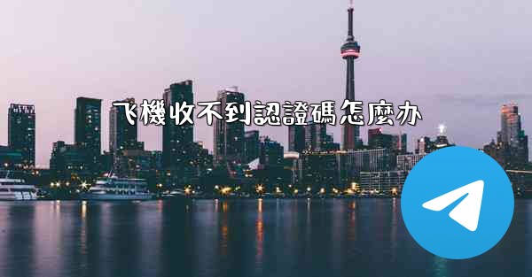 飞機收不到認證碼怎麼办