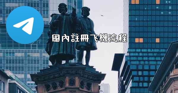 國內註冊飞機流程