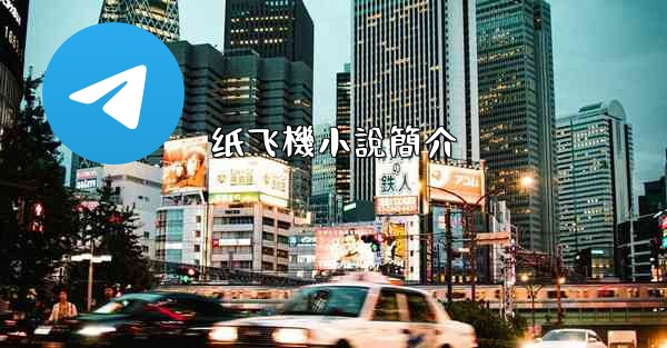 纸飞機小說簡介