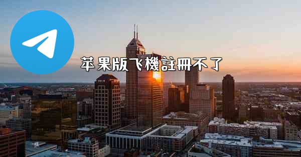 苹果版飞機註冊不了