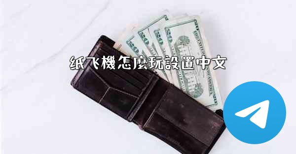纸飞機怎麼玩設置中文
