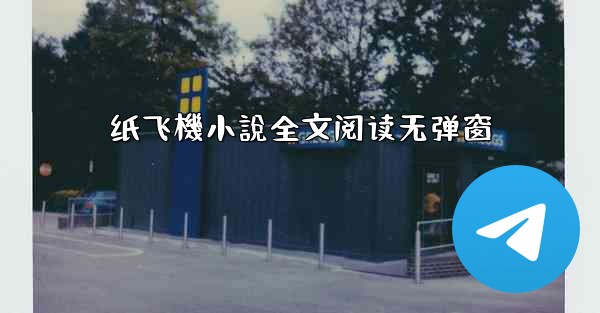 纸飞機小說全文阅读无弹窗