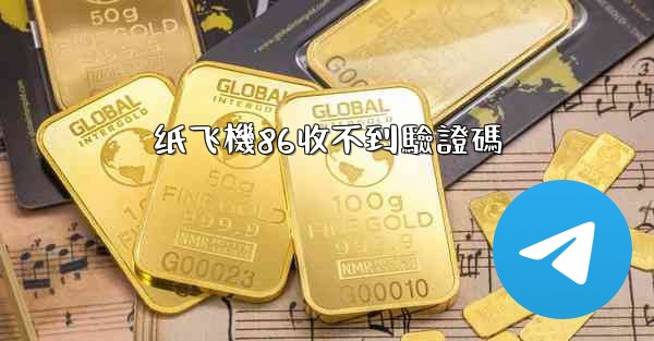 纸飞機86收不到驗證碼