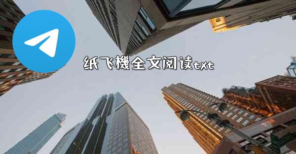 纸飞機全文阅读txt
