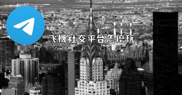 飞機社交平台怎麼玩