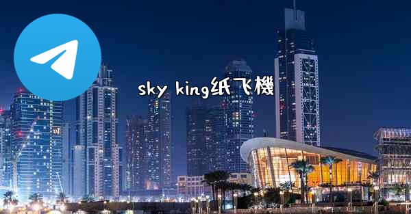sky king纸飞機