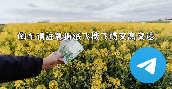 <b>倒车请註意折纸飞機飞得又高又遠</b>