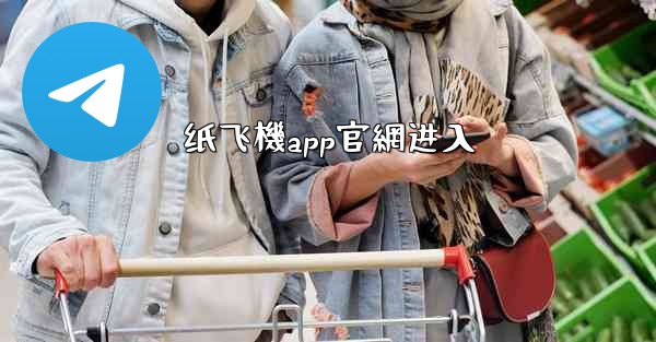 纸飞機app官網进入