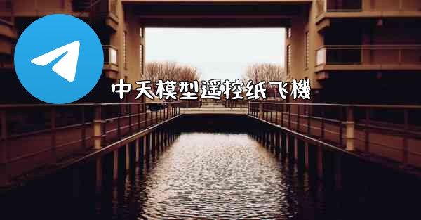 <b>中天模型遥控纸飞機</b>