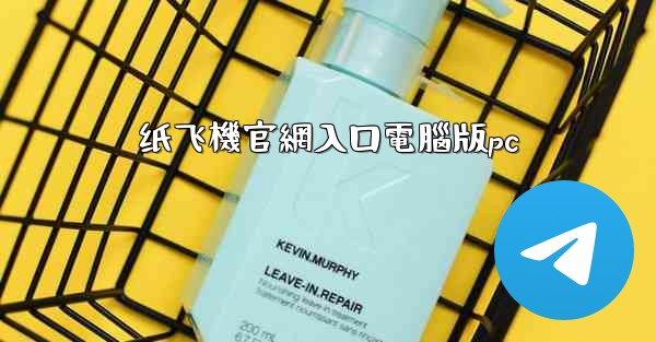 纸飞機官網入口電腦版pc