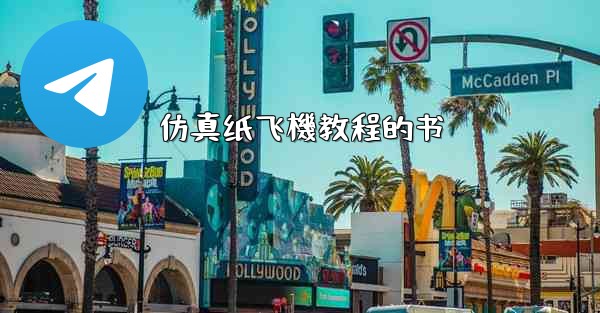 仿真纸飞機教程的书