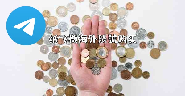 纸飞機海外賬號购买