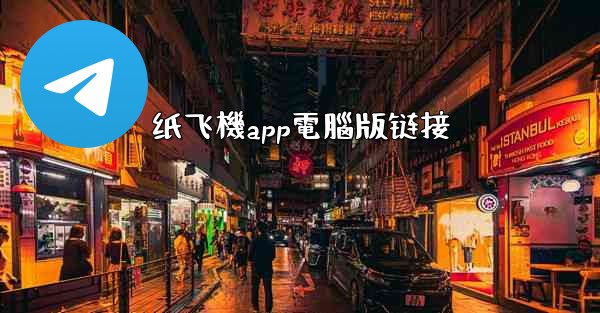 纸飞機app電腦版链接