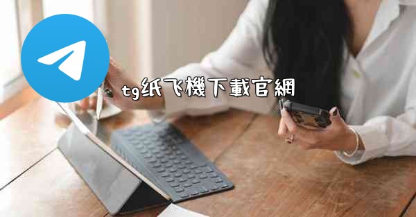 tg纸飞機下載官網
