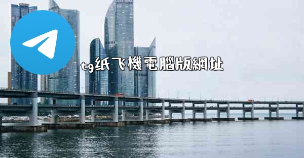 tg纸飞機電腦版網址