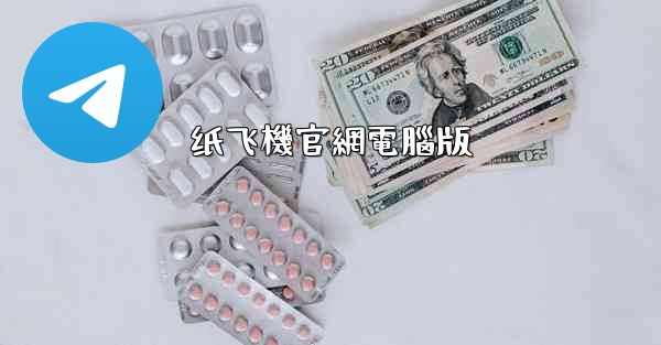 纸飞機官網電腦版