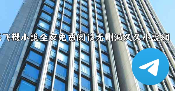 纸飞機小說全文免费阅读无刪減久久小說網