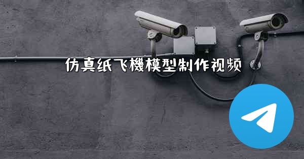 仿真纸飞機模型制作视频