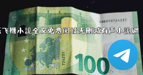 纸飞機小說全文免费阅读无刪減有声小說網