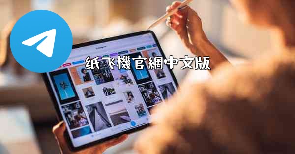 纸飞機官網中文版