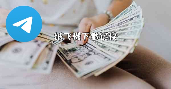 纸飞機下載链接