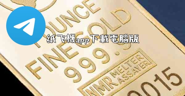 纸飞機app下載電腦版