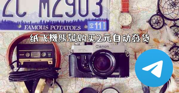 纸飞機賬號购买2元自动發货